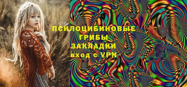 сатива Алзамай