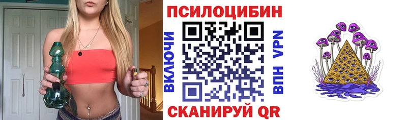 закладка  Могоча  Псилоцибиновые грибы Psilocybe 