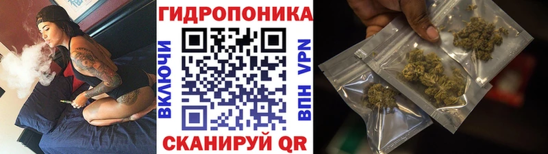 Бошки марихуана конопля  Могоча 